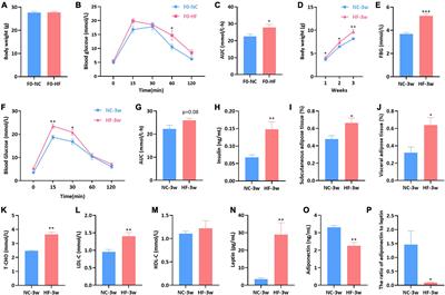 The dynamic effects of maternal high-calorie diet on glycolipid metabolism and gut microbiota from weaning to adulthood in offspring mice